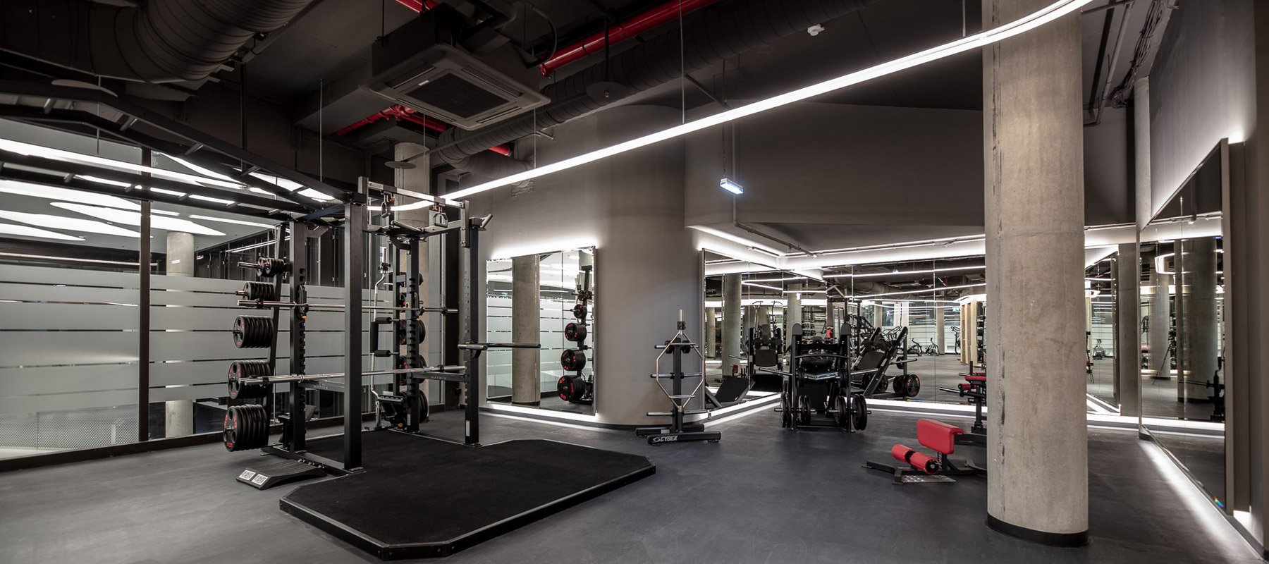 John Harris fitness 